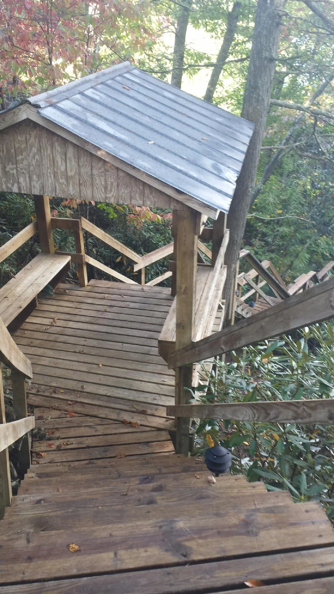 Metal roofed shelter over wooden steps on a wooded walkway — Skylight Repair & Installation work by our crew in Red Feather Lakes