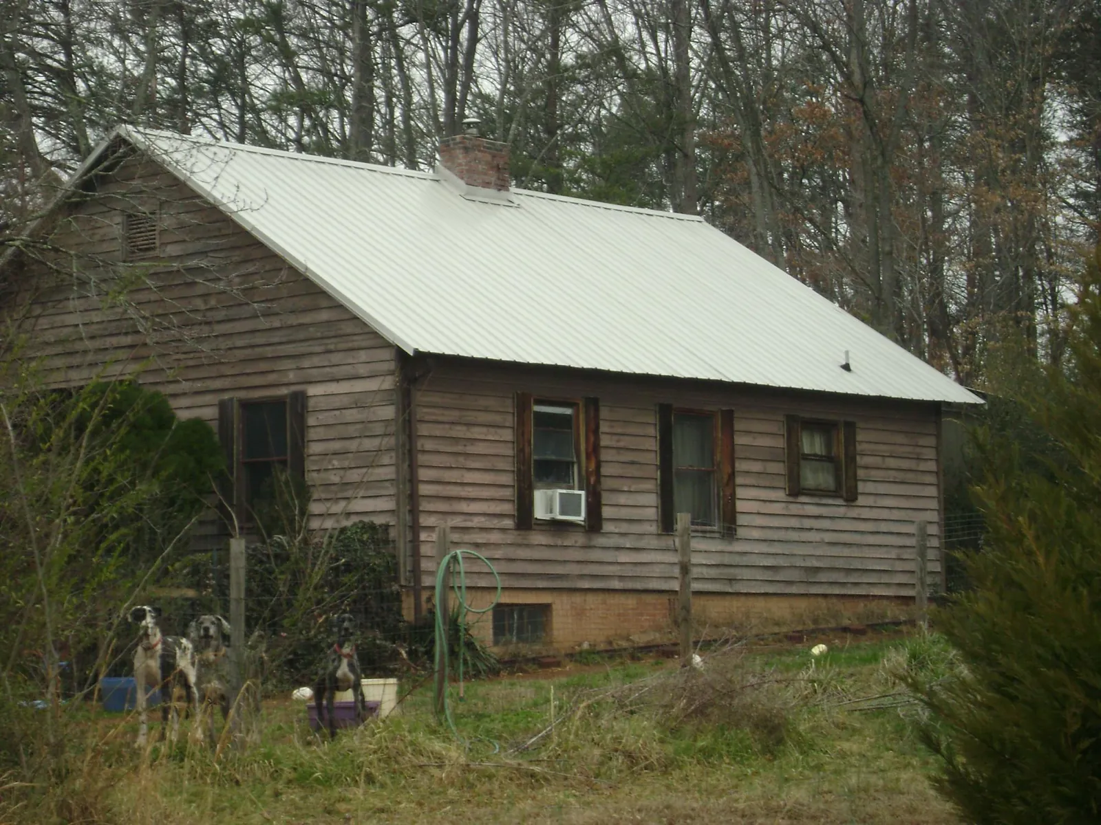 White metal roof on an old wood sided farmhouse, from a Metal Roof Installation job in Red Feather Lakes